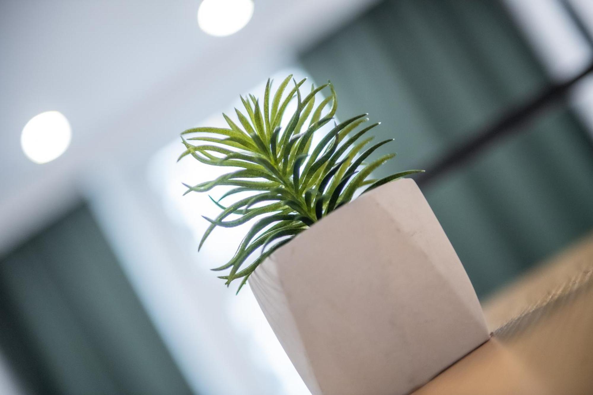 Apartament Lokietka 格利维采 外观 照片