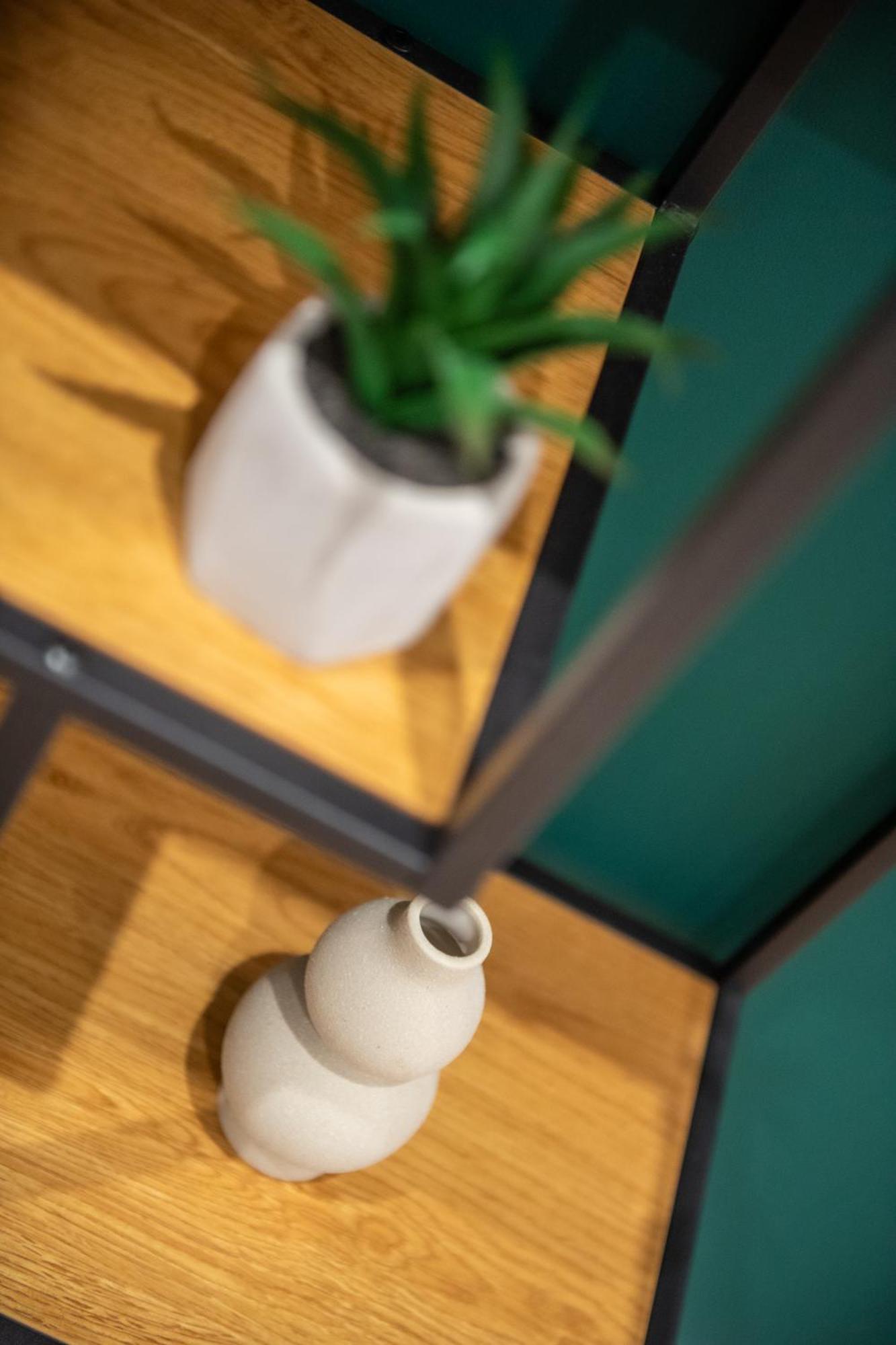 Apartament Lokietka 格利维采 外观 照片